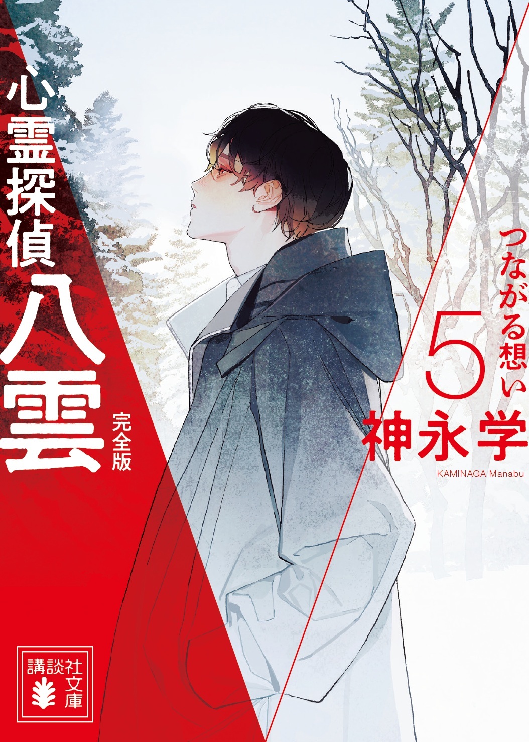 書影-八雲5完全版